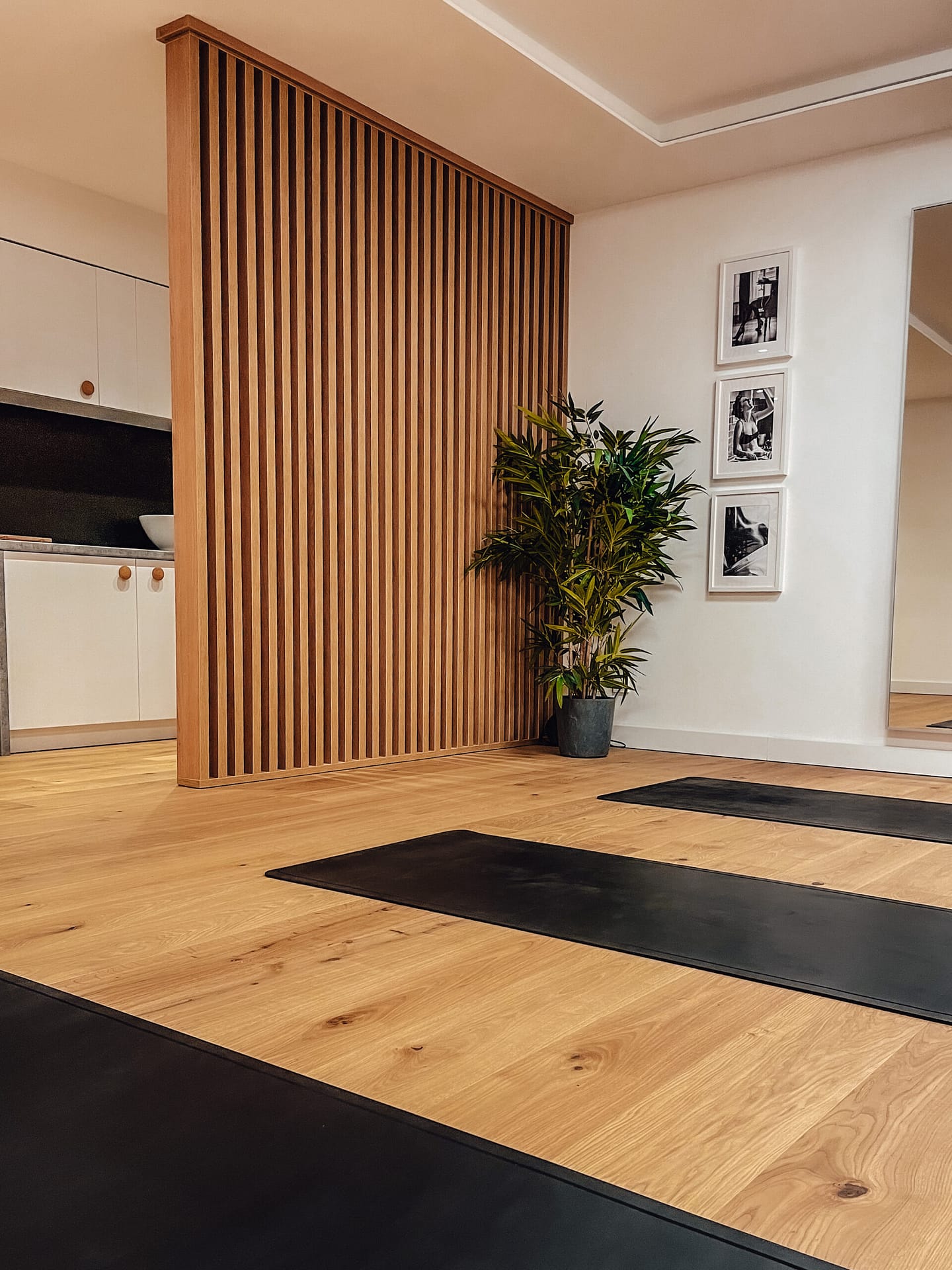 Fitness Box Haidlfing 1